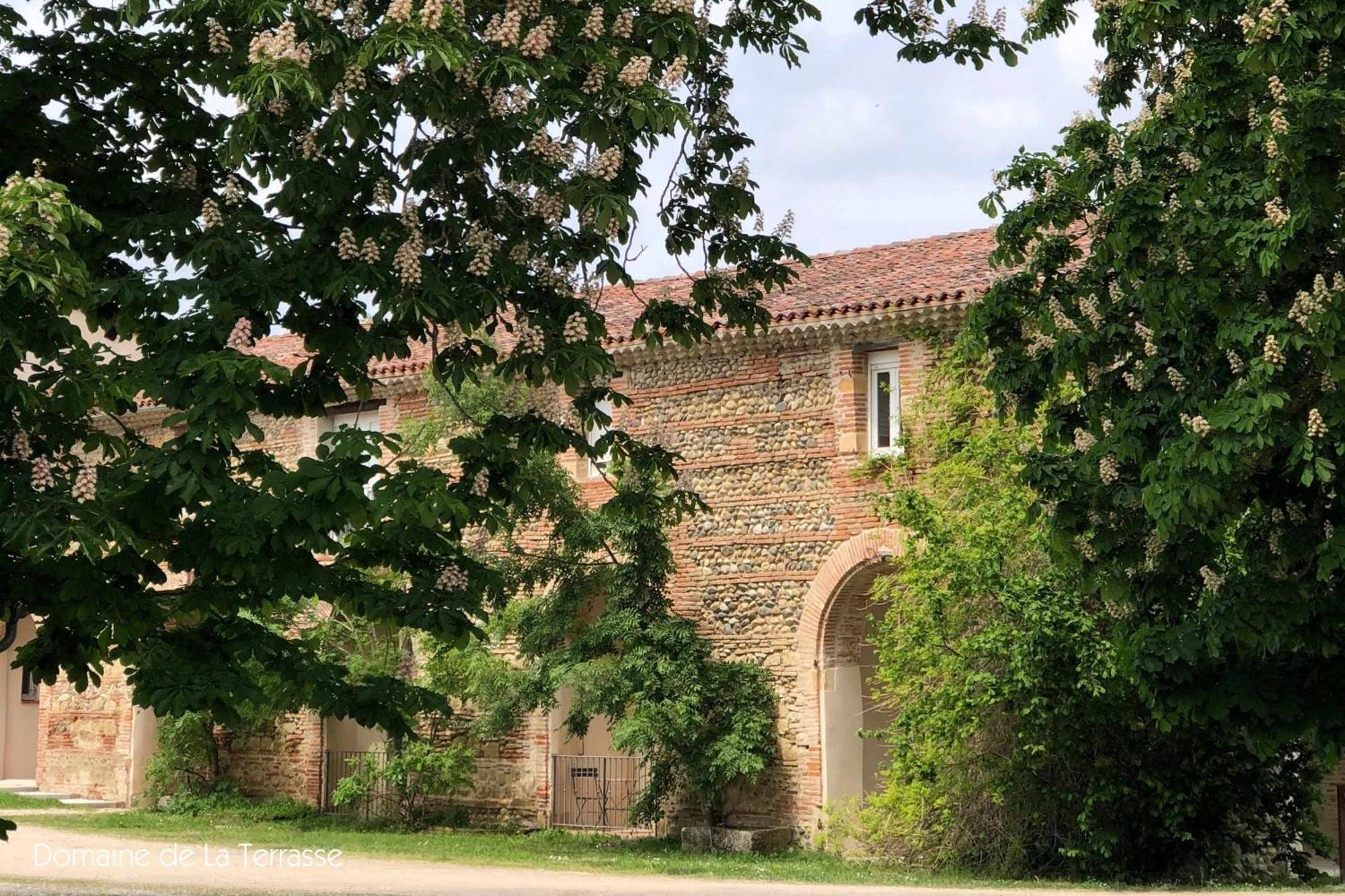 Appartamento Domaine De La Terrasse Carbonne Esterno foto