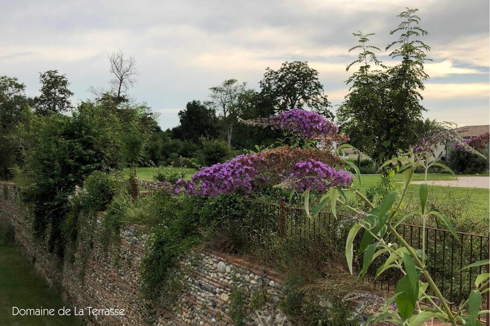 Appartamento Domaine De La Terrasse Carbonne Esterno foto