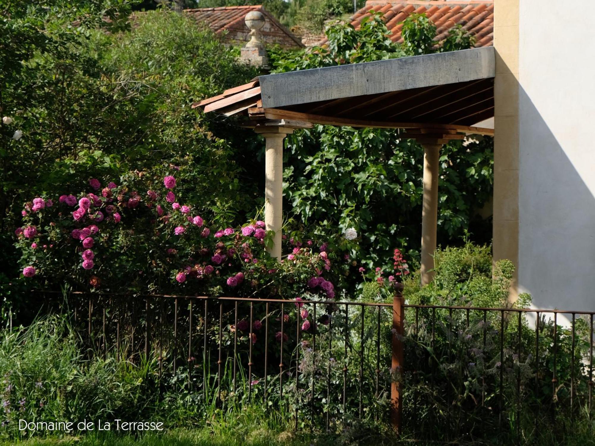 Appartamento Domaine De La Terrasse Carbonne Esterno foto