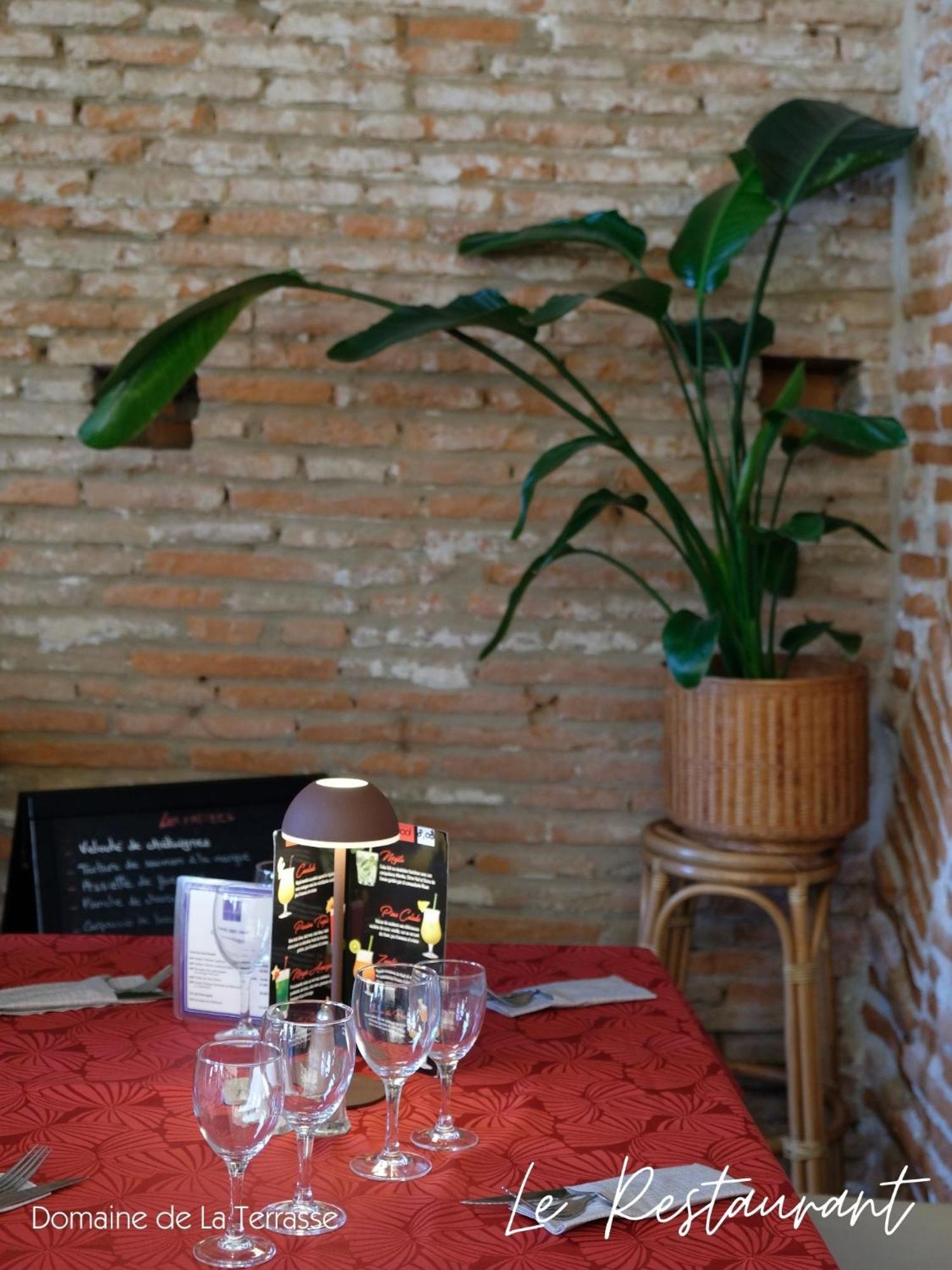 Appartamento Domaine De La Terrasse Carbonne Esterno foto