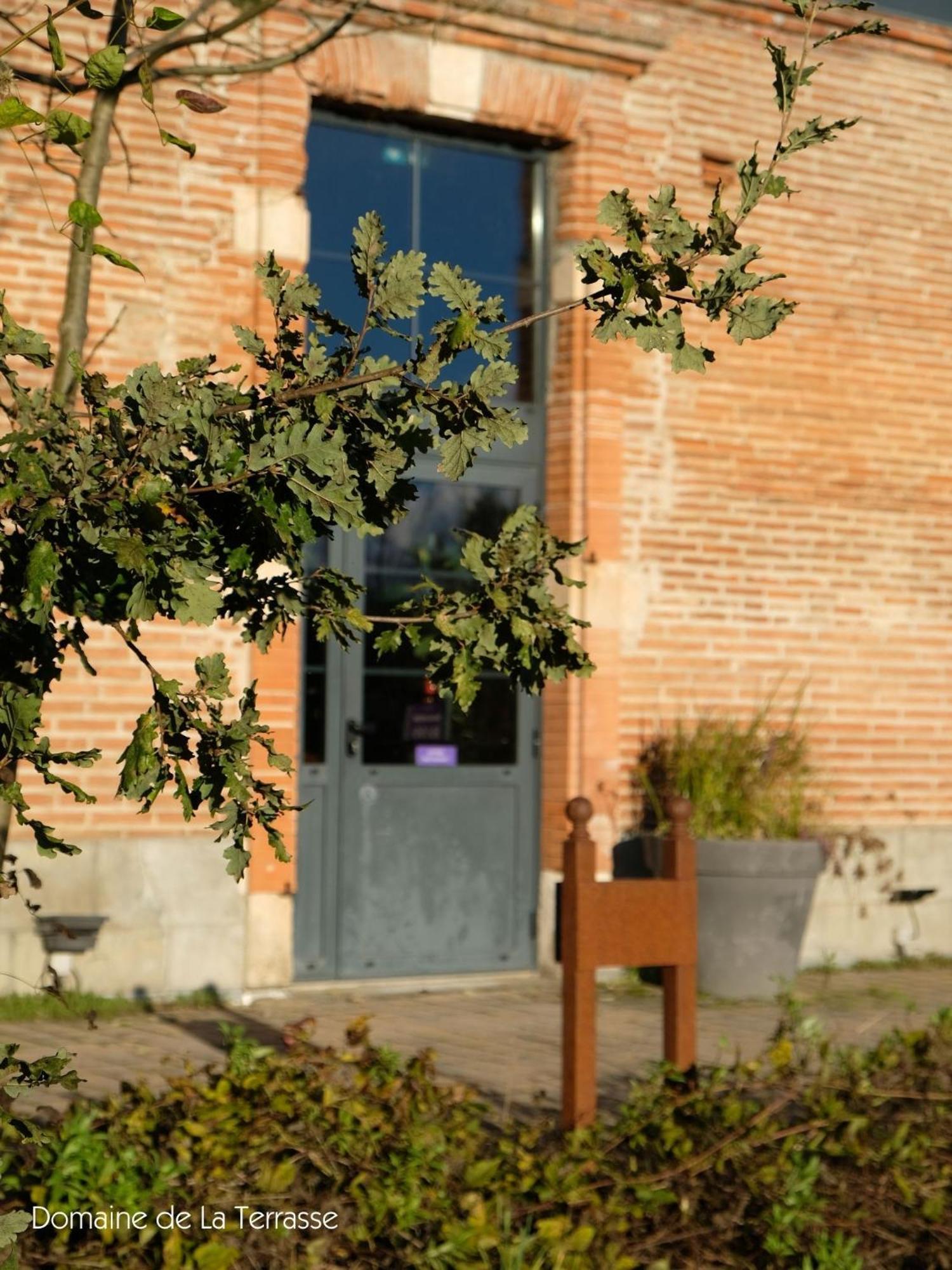Appartamento Domaine De La Terrasse Carbonne Esterno foto