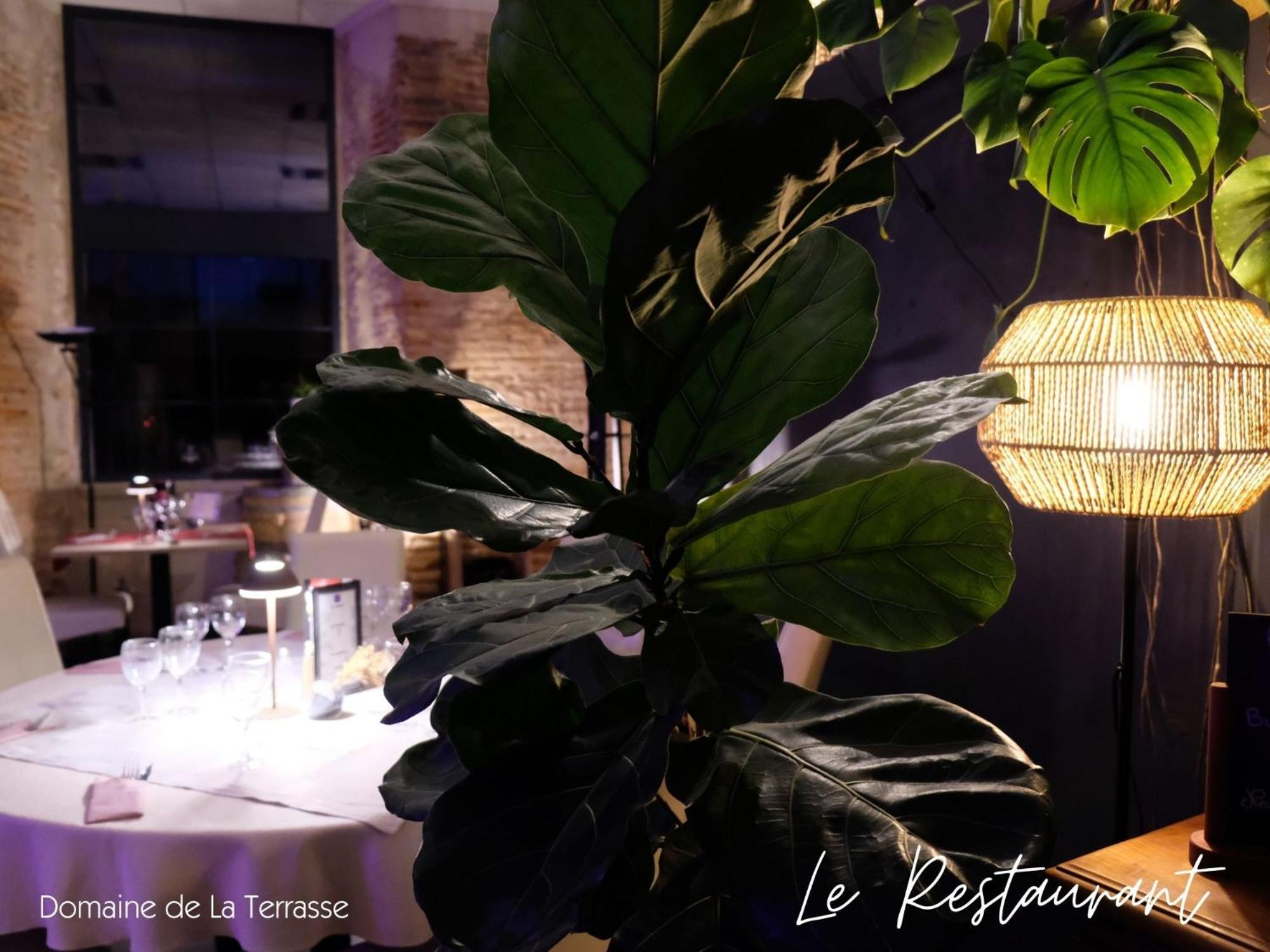 Appartamento Domaine De La Terrasse Carbonne Esterno foto
